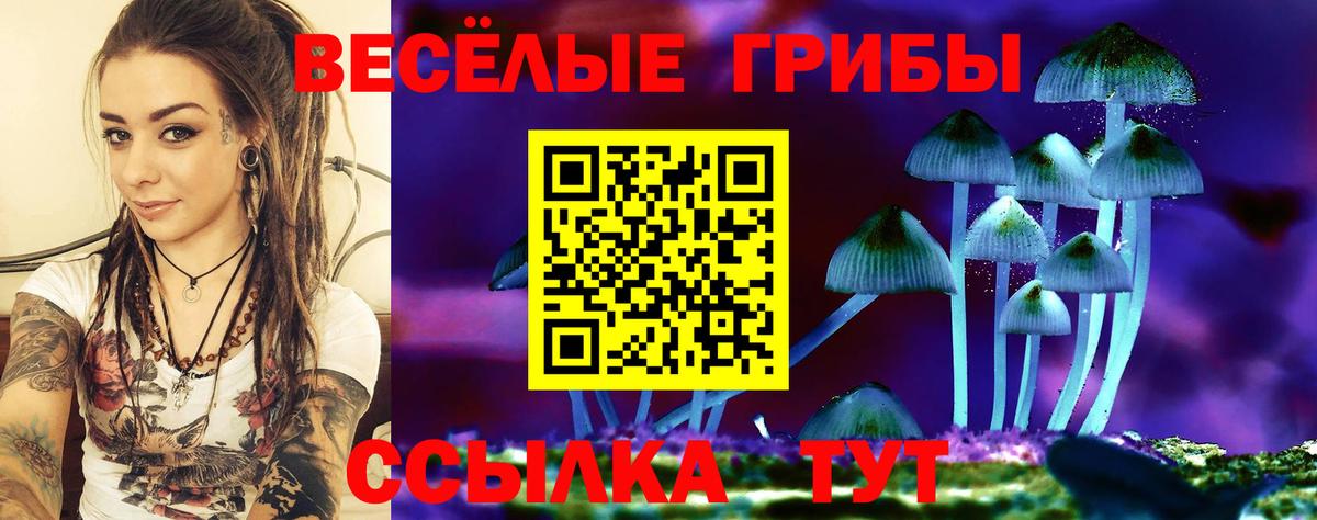 Галлюциногенные грибы Psilocybine cubensis Еманжелинск